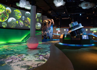 Home Planet (3)