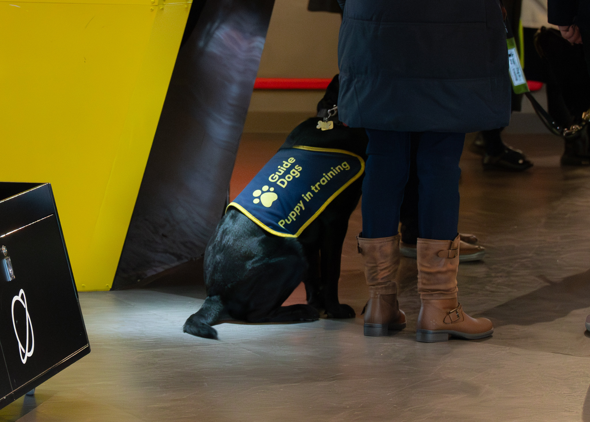 Access – Visitors with Visual Impairments